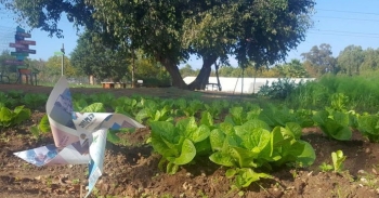 סיור סיפור בגני יהושע